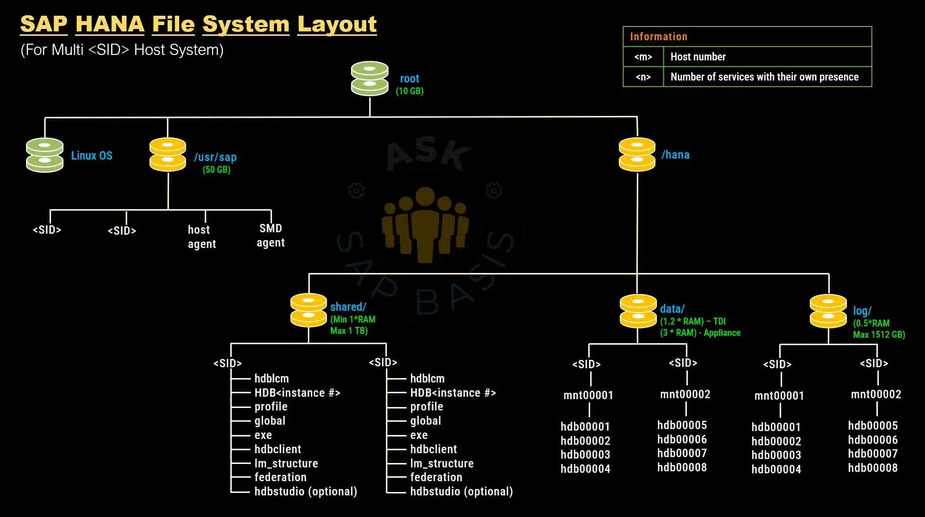 SAP HANA Multiple Host File Layout