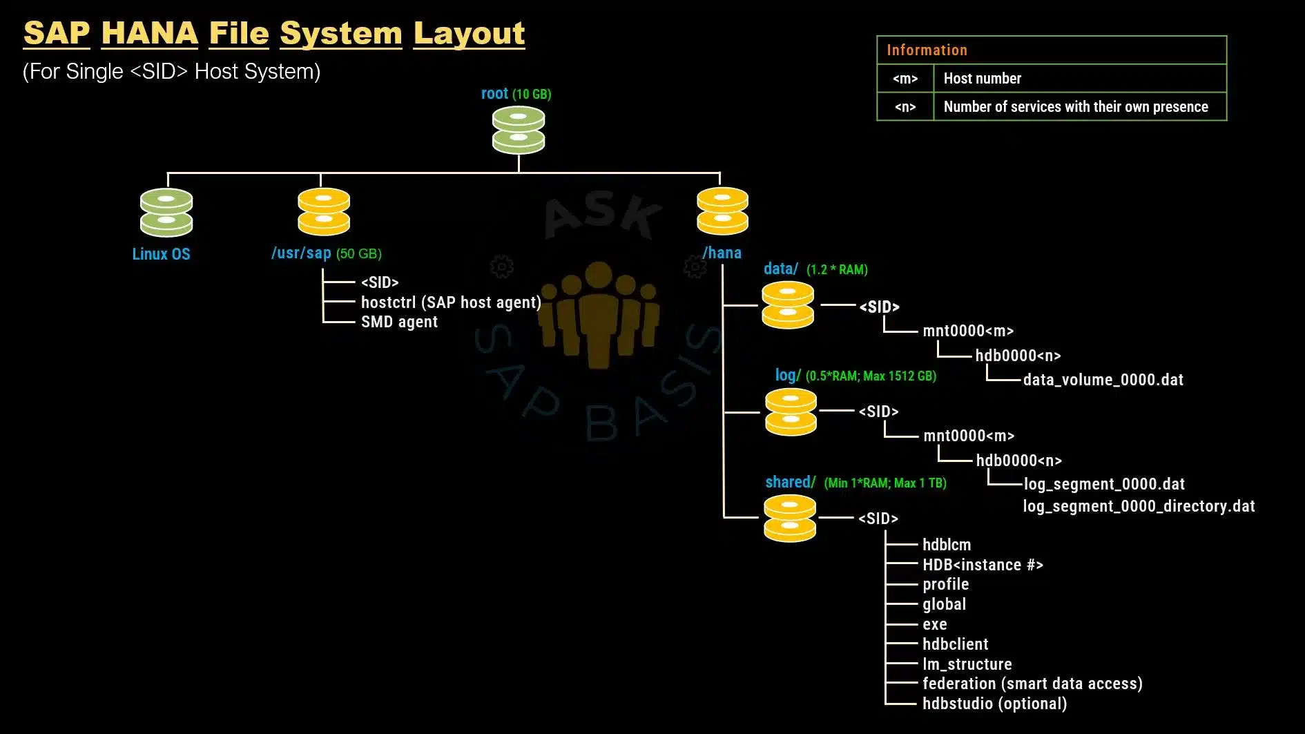 SAP HANA Single Host File Layout