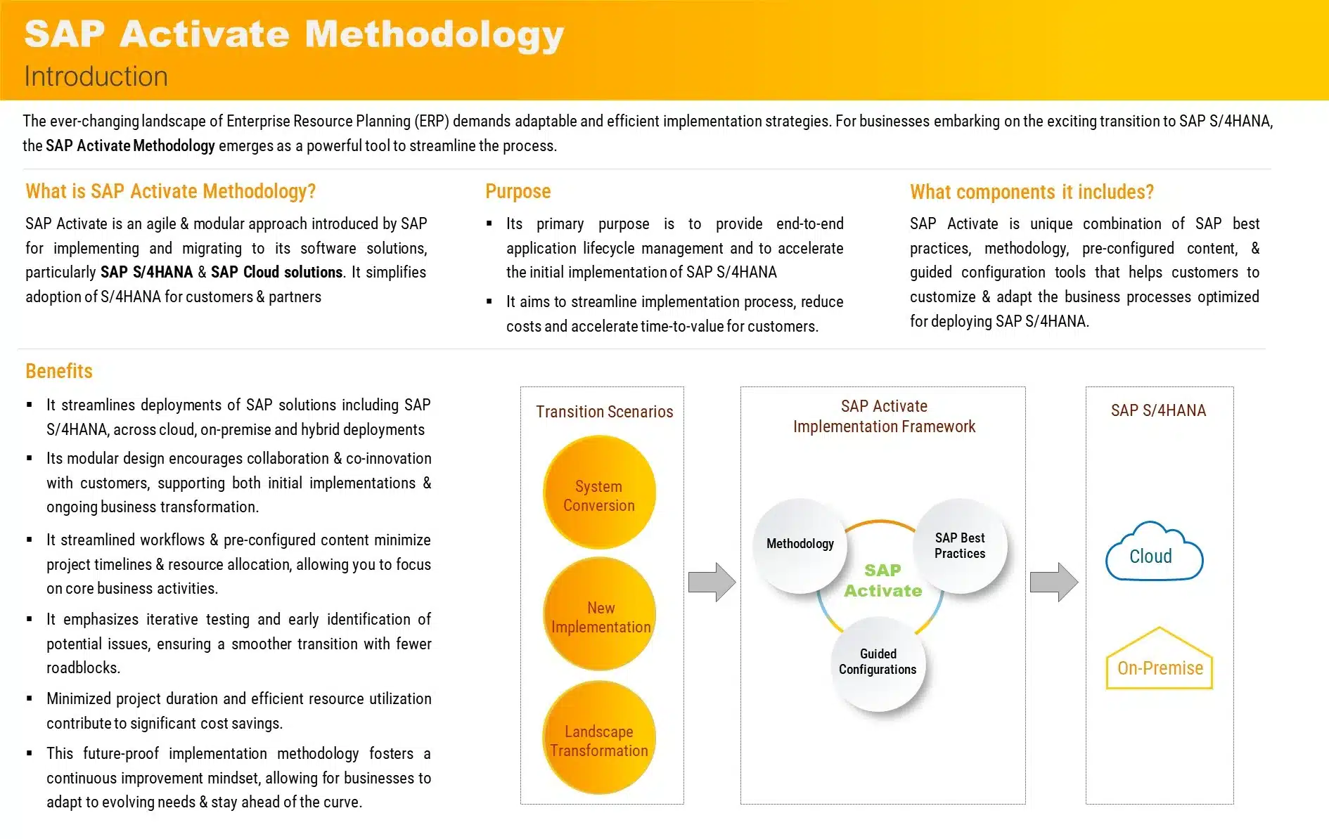 SAP Activate 1